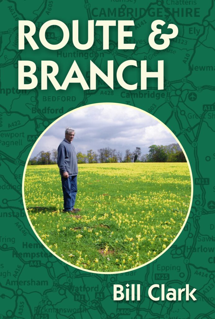 Route & Branch