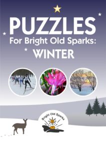 Puzzles for Bright Old Sparks - Winter